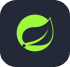Spring Boot